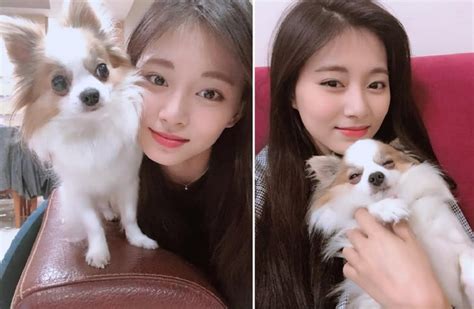 tzuyu gucci gender|Tzuyu shares that her beloved dog Gucci has passed away.